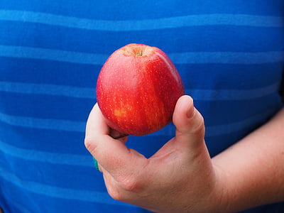 Apple, fruit, rood, heerlijke, hand, houden, aanwezig