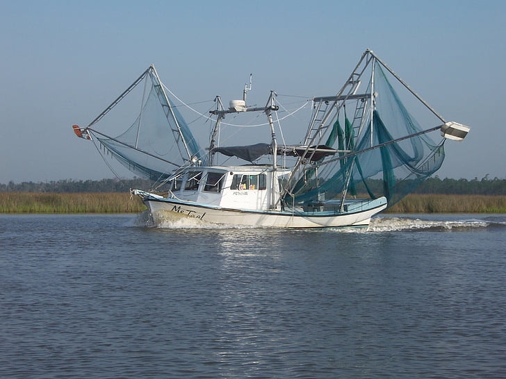 barca per gamberi, Bayou, Mississippi