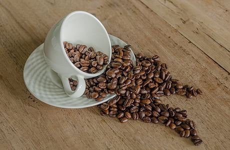 cà phê, hạt cà phê, mug, hạt cà phê, thức uống, nước giải khát, Cafein
