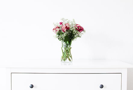 rosso, bianco, petali, fiori, vetro, vaso, in legno