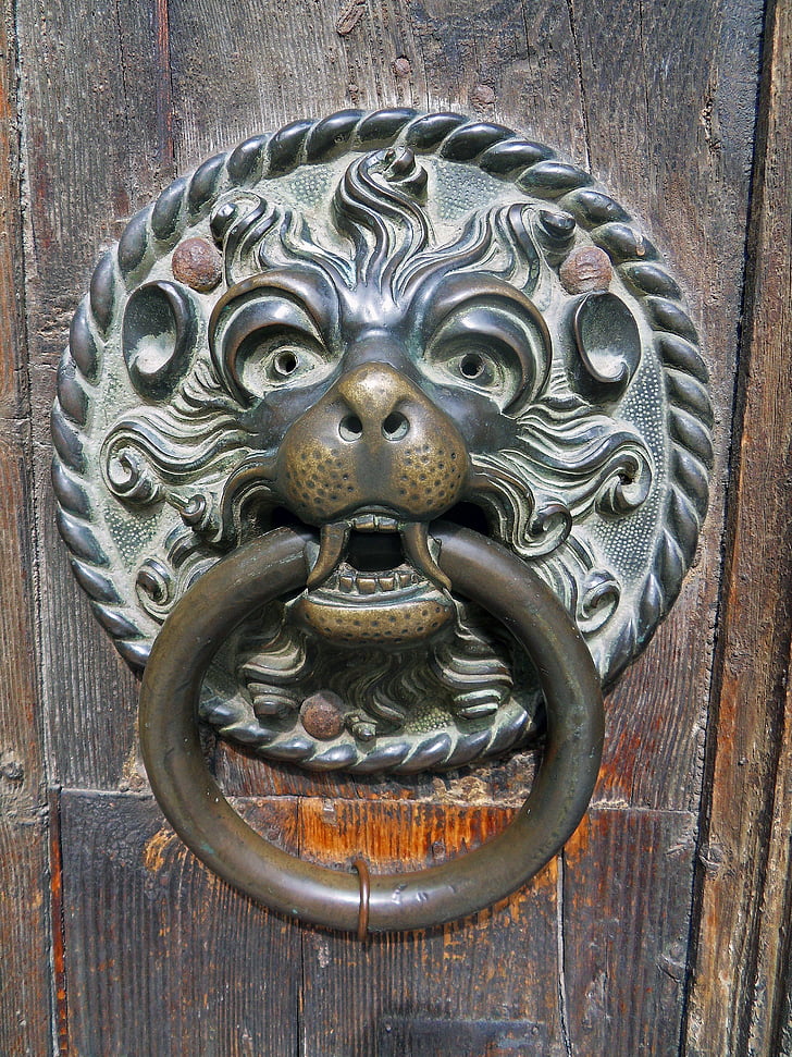 deur, Leeuw, brons, hout, macro, kerk, ring