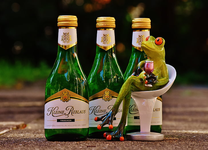 Frosch, Wein, trinken, Restaurant, Weinstube, Alkohol, Abbildung