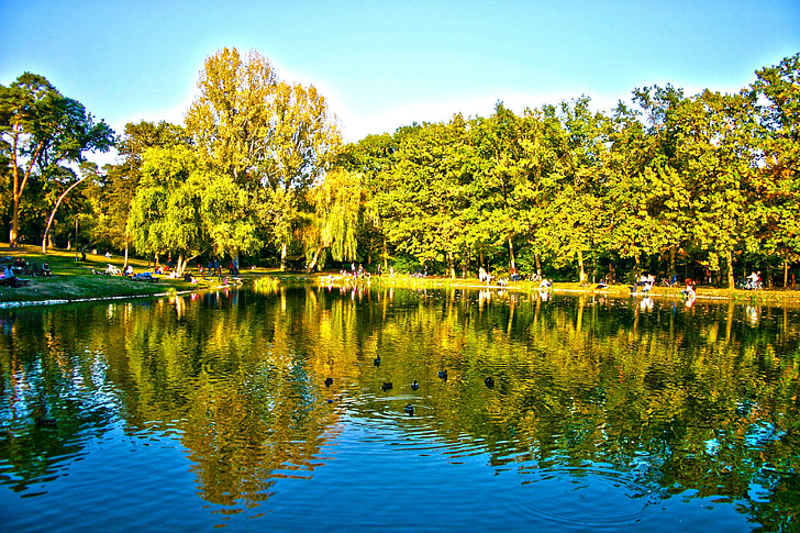 Hongarije, Debrecen, Békás-tó, Lake, vijver, reflectie, Park