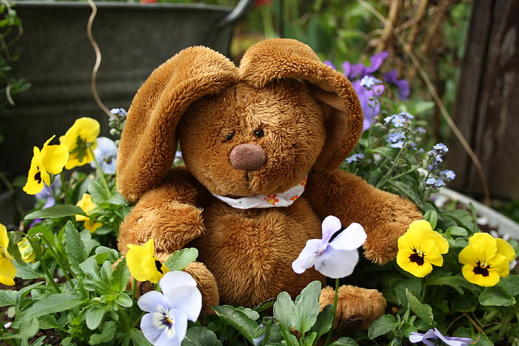 påsk, Hare, Påskharen, blommor, våren, påsk hälsningar, nallebjörn