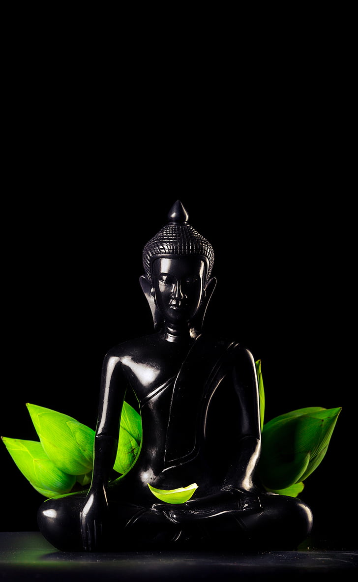 art, black, buddha, ceramic, dark, figurine, lotus