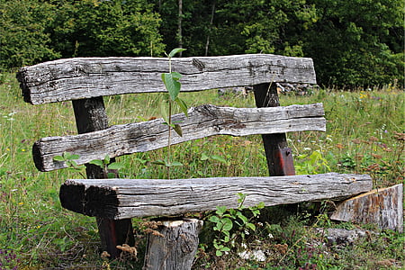 old wood bench, bank, weathered, bench, click, nature, out