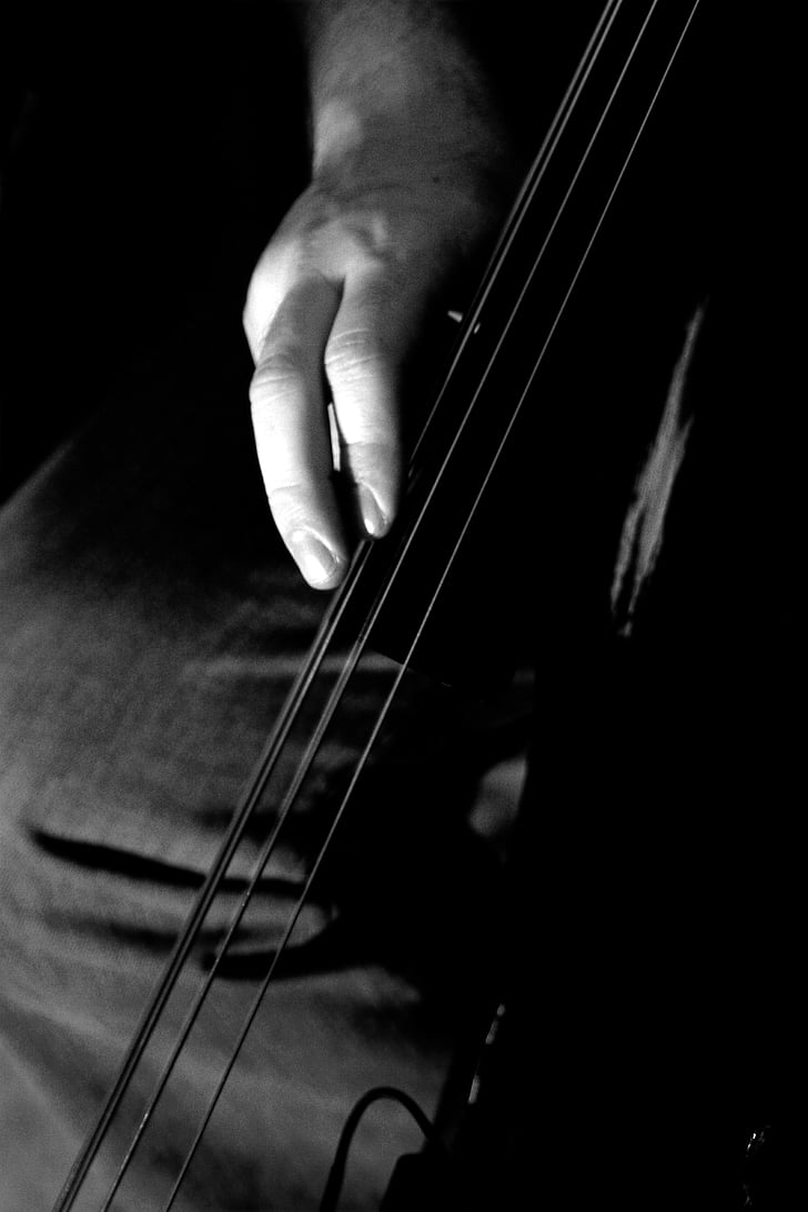 strings, black and white, bass, stand up, music, jazz, elegance