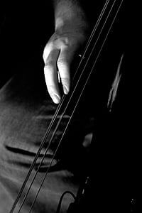 string, hitam dan putih, bass, Berdiri, musik, Jazz, keanggunan