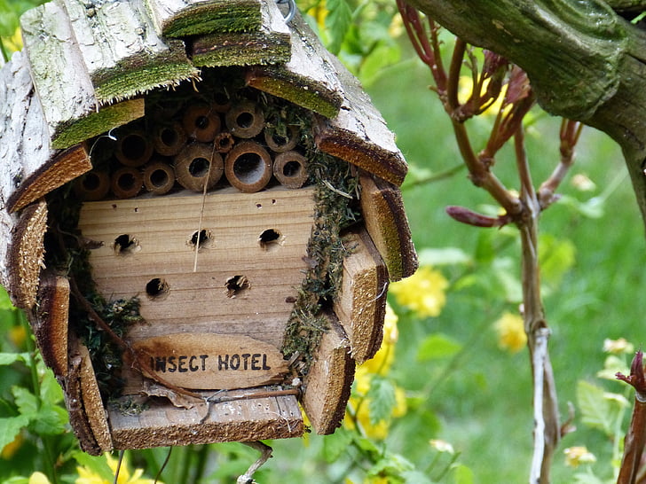 ev yapımı, böcek, Bahçe