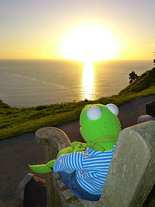 Kermit, frosk, solnedgang, å se, Outlook, sjøen, romantisk