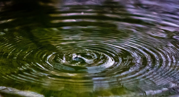 l'aigua, gota, Pau, natura, reflexió, resum, fons