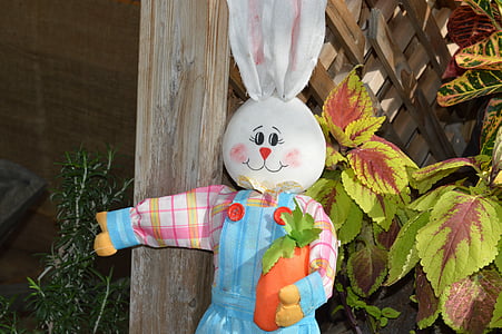 kanin, Bunny, Hare, påsk, djur, säsongsbetonade, gnagare