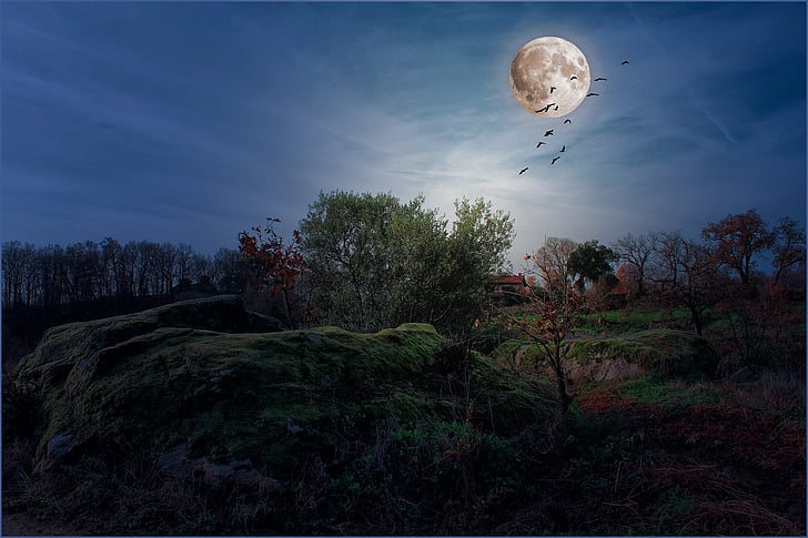 пейзажі, місяць, ніч, повний місяць, небо, небо і місяця, місячній поверхні