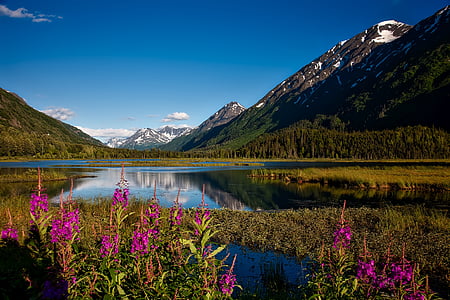 hutan Nasional Chugach, Alaska, pemandangan, indah, snowcap, langit, awan