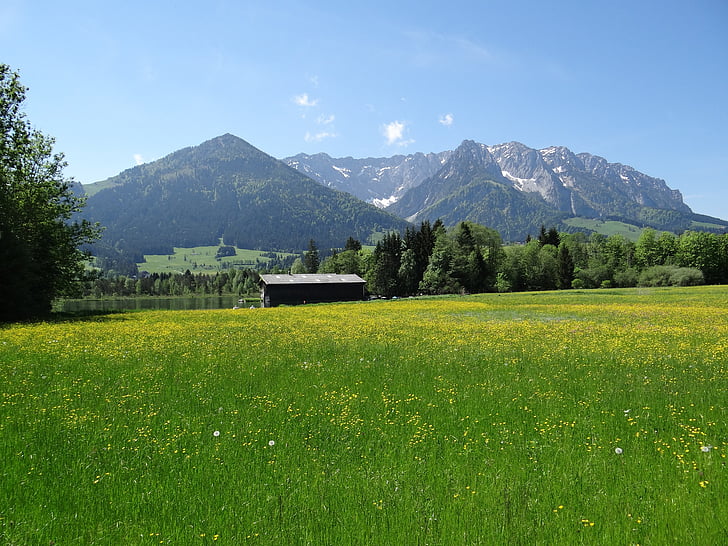 Prairie de printemps, Kaiserwinkl, Tyrol, Zahmer kaiser, montagnes, nature, paysage