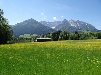 våren voll, kaiserwinkl, Tirol, Zahmer kaiser, fjell, natur, landskapet