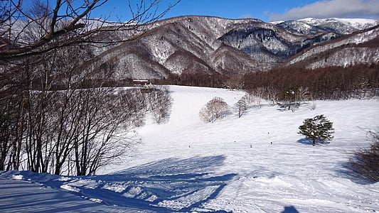 滑雪, 雪板, 雪, 山, 冬天, 自然, 树