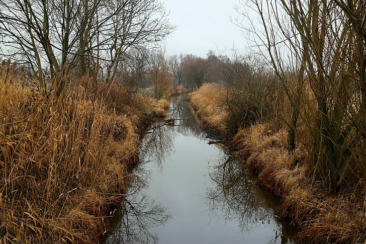 Eco system, biotopu, entwạ̈sserungskanal, kanał, łąka, Bagno, Moor