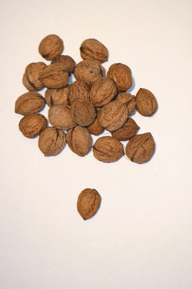 walnuts, walnut, nuts, healthy, food, nutrition, eat