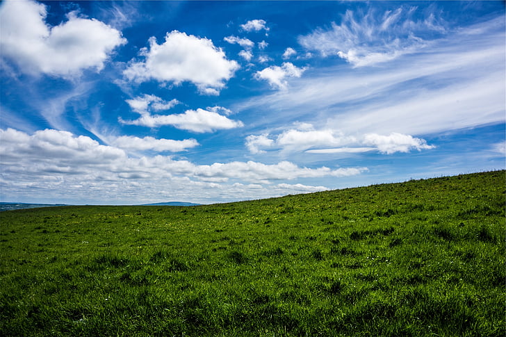 green, grass, surface, daytime, field, sky, blue
