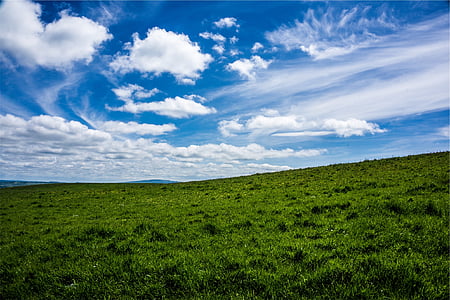 グリーン, 草, 表面, 昼間, フィールド, 空, ブルー