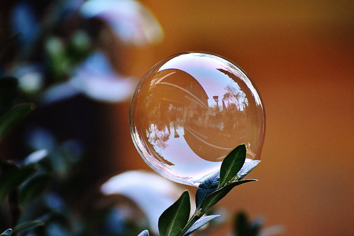 soap bubble, colorful, buxbaum, buxus, balls, soapy water, make soap bubbles