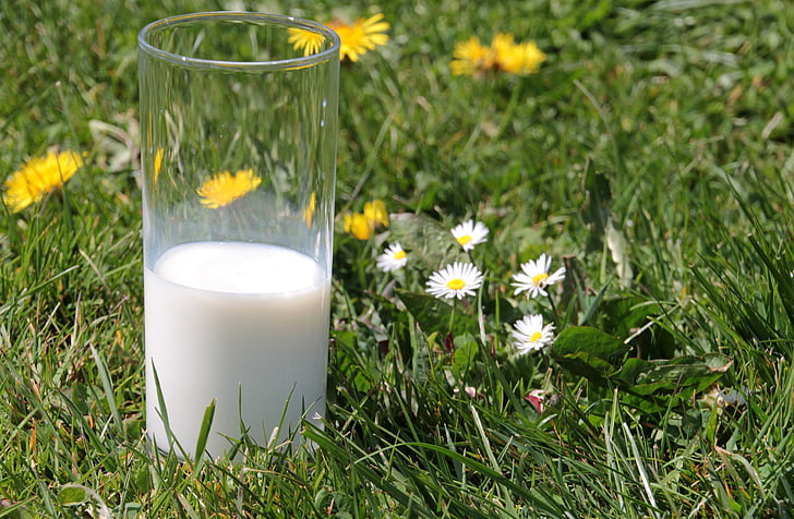 leite, vidro, comida, bebida, beneficiar de, delicioso, nutrição