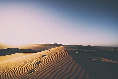 aventure, aride, aube, lumière du jour, désert, sec, dune
