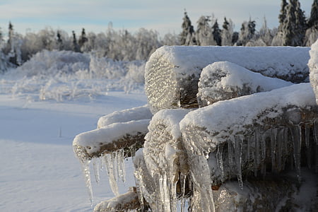 drevo, zimné, Zimná krajina, sneh, Príroda, Príroda, čokoládové vianočné log