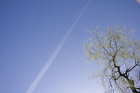 cielo, Estela de vapor, árbol, azul, Estado de ánimo, naturaleza, resto