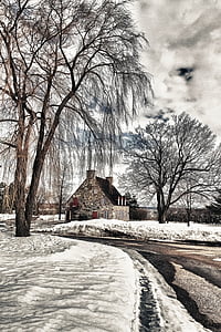 будинок, краєвид, взимку, дерево, сніг, зимовий пейзаж, Вілла