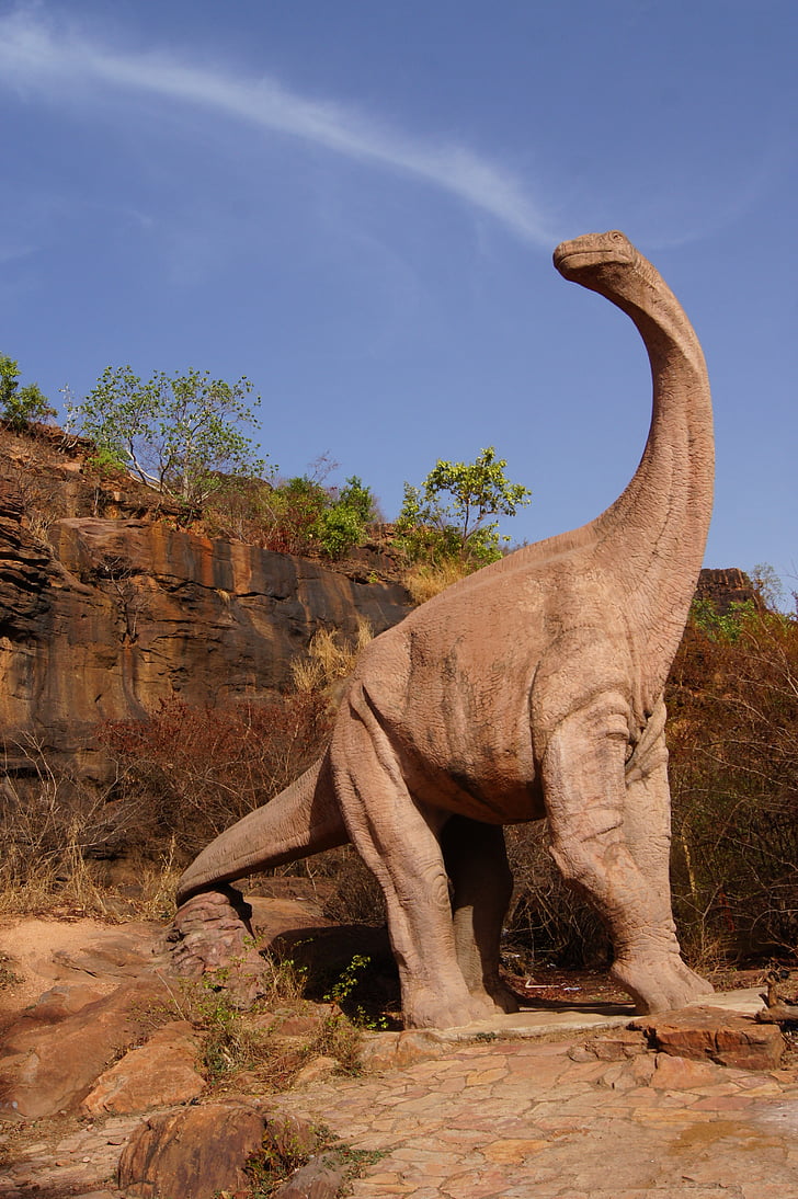 Dinosaur, Mali, Bamako, himmelen, RADIUS, Giant