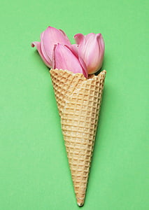 チューリップ, チューリップの花, 花, アイス クリーム コーン, ワッフル, イエロー, ピンク
