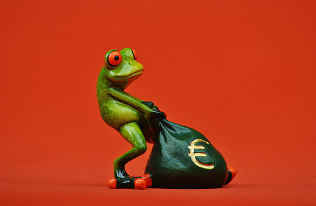 カエル, お金, ユーロ, バッグ, お金の袋, 面白い, かわいい