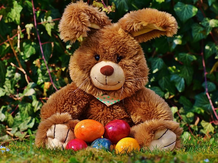 easter bunny, happy easter, colorful eggs, colorful, spring, easter greeting, easter
