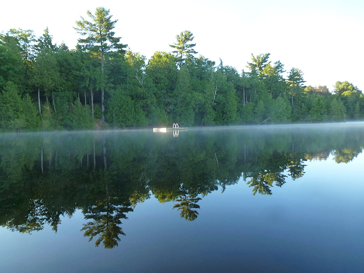 Λίμνη, κατηγοριοποίηση, ακόμα, το πρωί, ομίχλη, πλατφόρμα κολύμβησης, δάσος