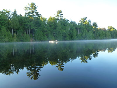 sjön, reflektion, fortfarande, morgon, dimma, badbrygga, skogen