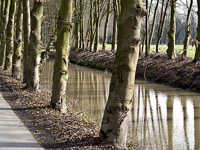 agua, canal, árboles, canal, naturaleza, otoño, cursos de agua