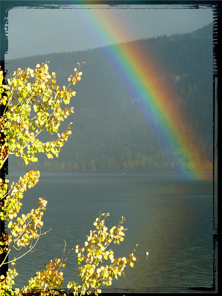 Rainbow, åskväder, Väder, regn, Frame, landskap, vacker natur