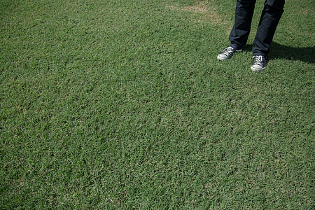 green, grass, converse, shoes, sneakers, jeans, pants