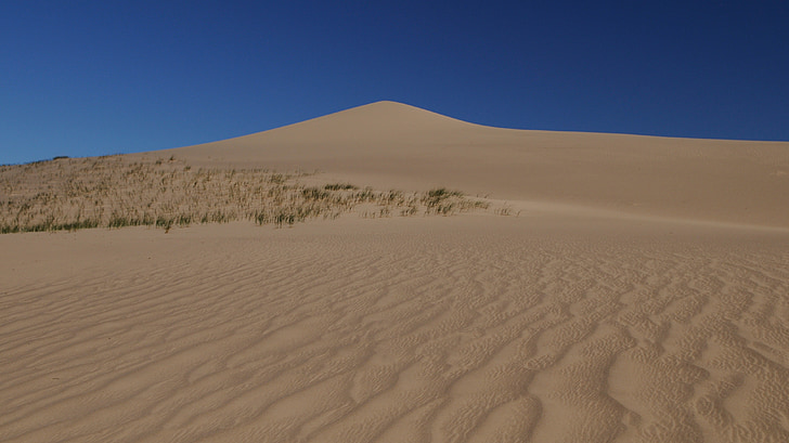 Mongolia, Pustynia, Struktura, Dune
