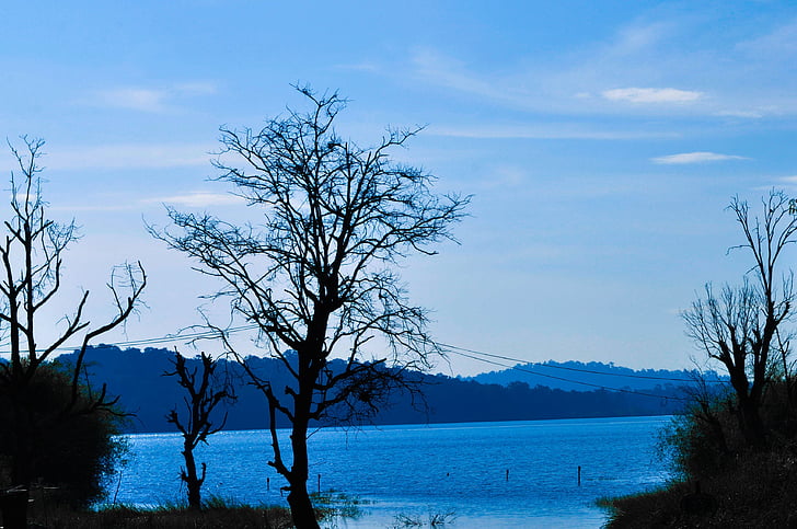 blue, sky, lakes, water, river, flowing, trees