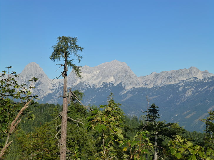Panorama, Alpu, ainava, daba, skats, Austrija, kalni