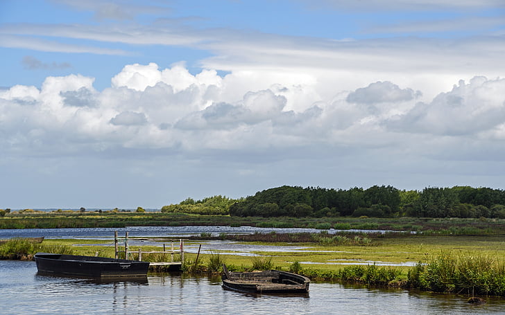 Marsh, Brière, Loire atlantique, acqua, paesaggio
