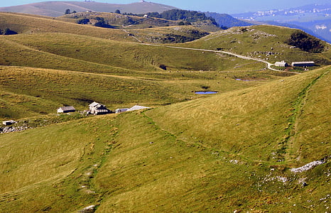 Prato, mägi, roheline, Alm, varjupaika, maastik, lessinia