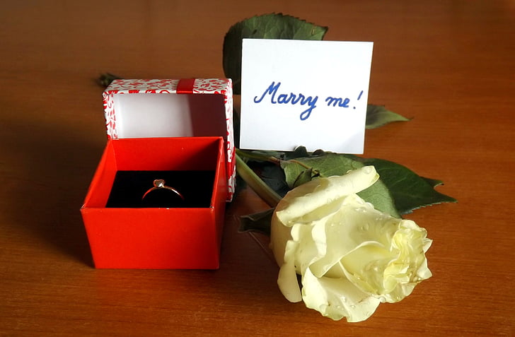 Παντρέψου με, δαχτυλίδι αρραβώνων, τριαντάφυλλο, μήνυμα, λευκό