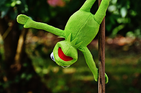 pole dance, Kermit, Buồn cười, đồ chơi mềm, động vật, đồ chơi, thú nhồi bông