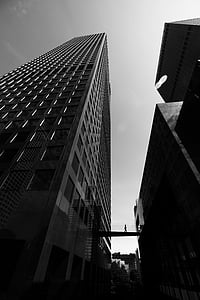 en blanco y negro, edificios, contemporáneo, bajo ángulo de disparo, moderno, monocromo, silueta