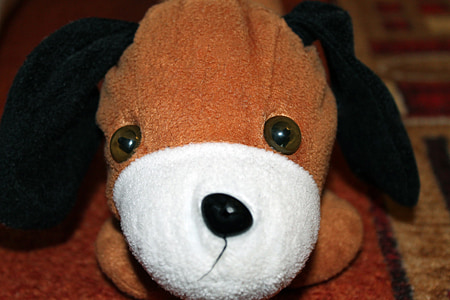 stuffed animal, dog, floppy ear, niedlig, teddy Bear, cute, toy