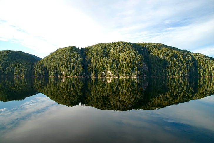 Канада, море, дзеркальне відображення, Британська Колумбія, дерева, Природа